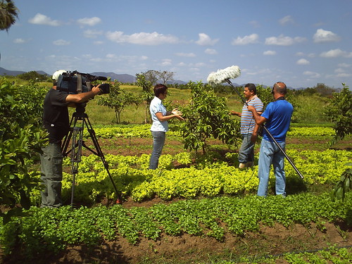 brasil nordeste sertão paraíba sousa pivas orgânicos agriculturafamiliar agriculturaorgânica agricultoresorgânicos produçãoorgânica httporganicosdopivasorg ariculturaorgânica