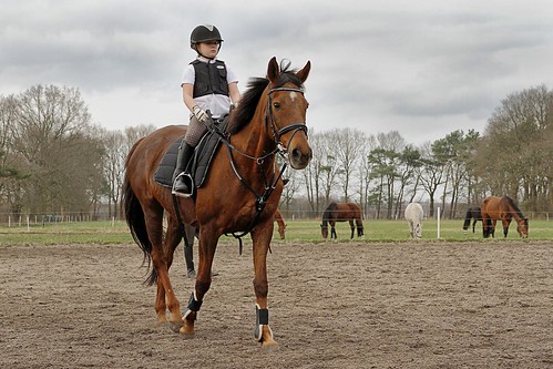 horse animal sport germany landscape europe rider felicity happyness