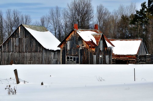 old winter snow ontario abandoned buildings landscape outdoors barns wintertime hdr homesteads farmscape earlysettlement