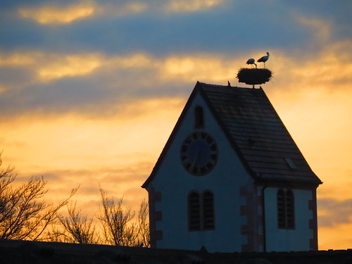 steeple stork storks kirchturm störche besteverdigitalphotography
