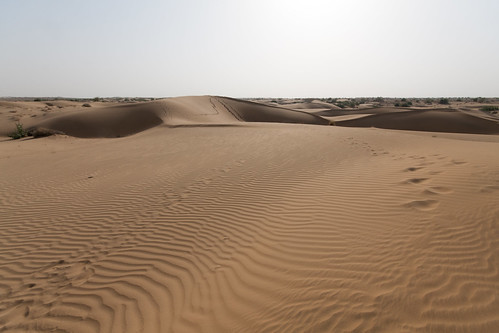 india desert dune camel jaisalmer inde dromadaire 2013