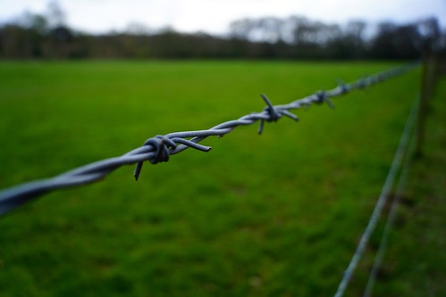 trees green grass fence wire sony isleofwight barbedwire april spike alpha ryde a65 quarrabbey 2013
