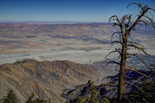 california park county ca mountain tree dead high san mt ride desert riverside state wind farm branches tram windmills aerial palm mount sp springs valley trunk coachella elevation tramway jacinto 4b4a174849505152fused