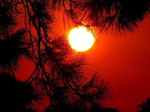 sunset ruffeylake goldenneedles pinespikelets