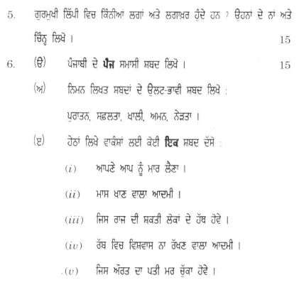 DU SOL B.A. Programme Question Paper - Punjabi C Language - Paper II 