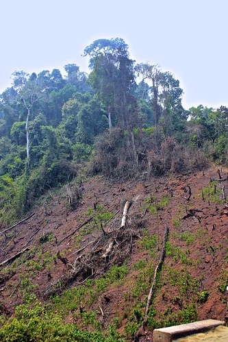 slash and burn logging. we saw this all over Laos