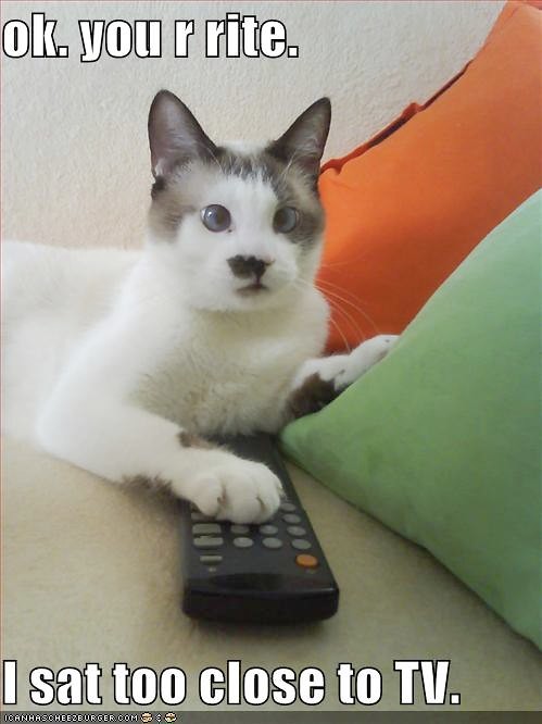 funny-pictures-cross-eyed-tv-cat
