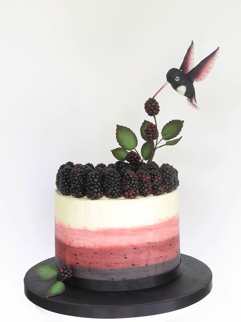 Cake by Bluebird-cakes