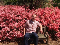 Dallas Blooms at the Dallas Arboretum and Botanical Gardens