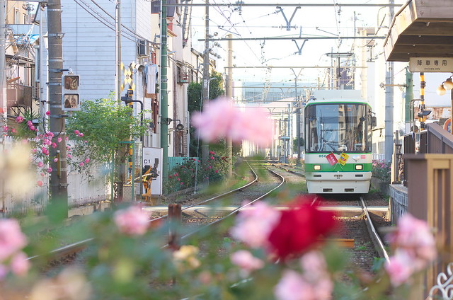 Tokyo Train Story 都電荒川線 2014年11月15日