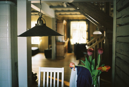 sunlight film home kitchen lamp analog 35mm warm estonia tulips bokeh room vase walls zenit cosy eesti zenitet
