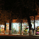 Flower Market at Night (AP4K0139 1PS)