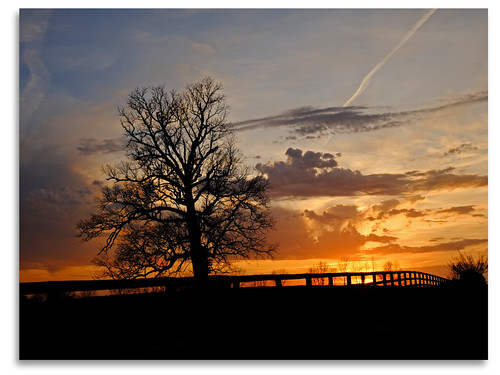 sunset sky tree silhouette clouds fence spring ky burroak springstation blackburnfarm