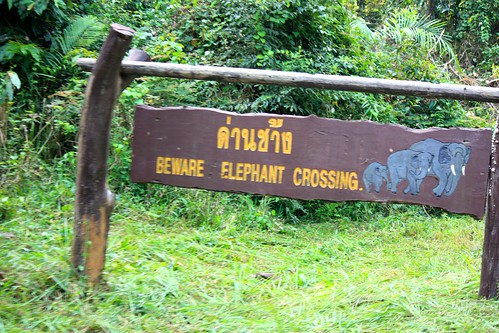 beware. another sign said becareful after 6pm. It's when the elephants come out
