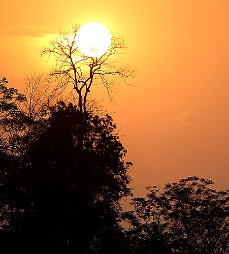 life sunset sun india love nature forest evening flickr lohit arunachalpradesh sudipguharay
