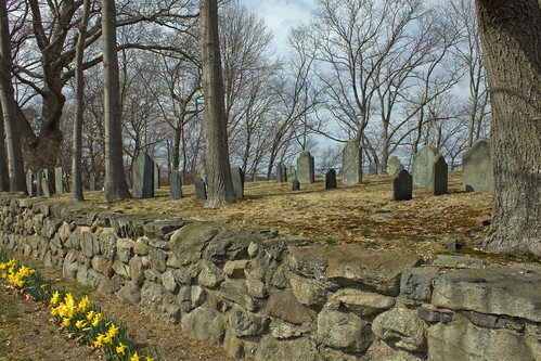 spring stonewall gravestones daffodils ch2013wk14