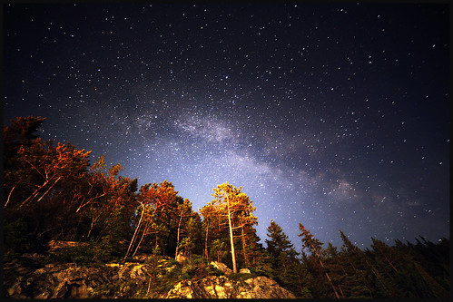 sky canada tree nature pine night forest way stars quebec north ciel astronomy milky nuit foret arbre saguenay nord sapin voie boreal etoiles astronomie constallation lactee