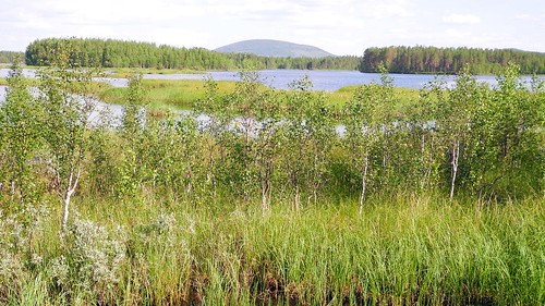 summer lake finland landscape geotagged july fin pep lappi 2014 kemijärvi 201407 20140720 geo:lat=6659931222 geo:lon=2788158417 käsmänperä