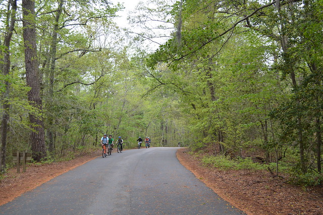 First Landing State Park offers roads that weave in and out and are perfect for cycling