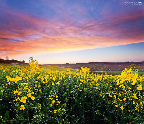 sunset field landscape colorful paysage campagne picardie somme picarde heilly