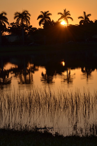 park lake sunrise
