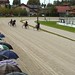 Kasaške dirke v Komendi 18.09.2016 Peta dirka