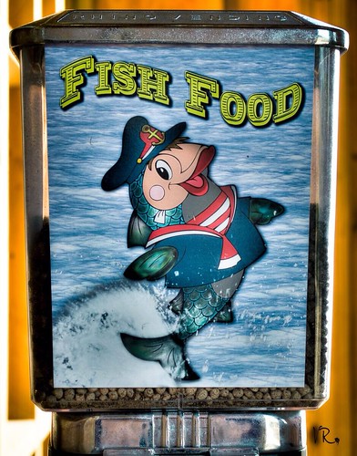 old food fish sign ball gum fishing machine retro shack hdr franklintexas vrosen uploaded:by=flickrmobile flickriosapp:filter=nofilter