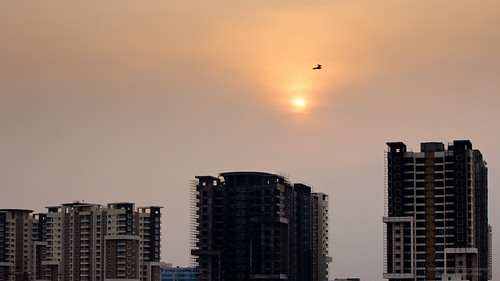 morning india bird sunrise buildings construction bangalore urbansunrise sillhoutte ittinasarva hongasandra