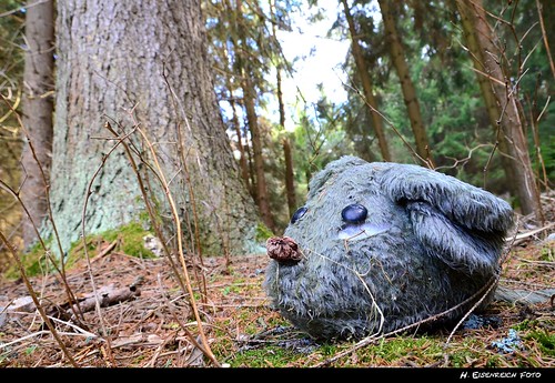wood nature forest mouse nikon natur hans ground holz wald maus boden stofftier waldboden stoffmaus eisenreich