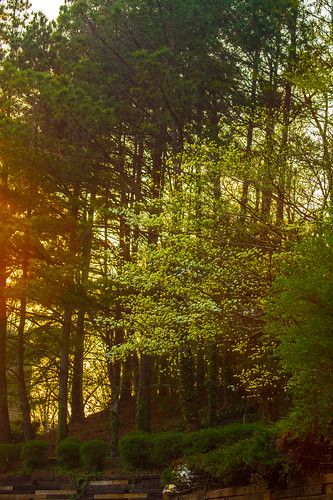 sunset nature georgia gainesville hallcounty thesussman sonyalphadslra550 sussmanimaging