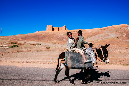 africa road old travel boy building brick nature animal horizontal architecture children landscape outdoors town mud traditional donkey viajes morocco valley maroc marruecos zagora moroccan kasbah agdz draa travelphotography colorimage documentaryphotography buildingexterior fotografiadocumental moroccanculture builtstructure fotografiadeviajes rachelcarbonell