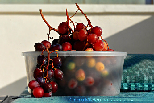 love lovely day light nature life live color colour red blue green white september grapes ball shadows sun sunlight lines shapes pure nikon d greece greek andros island fruit plant food eat texture alive still photography milaiou dimitra cyclades nice happiness happy smile together beautiful taste cut vinery vine dark wonderful 7100 d7100 70210mm f4 ngc sunset afternoon home style living healthy juicy europe reflections