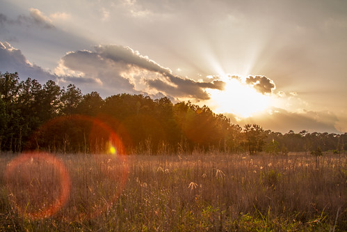 sunset texas meadow lensflare kingwood eastendpark