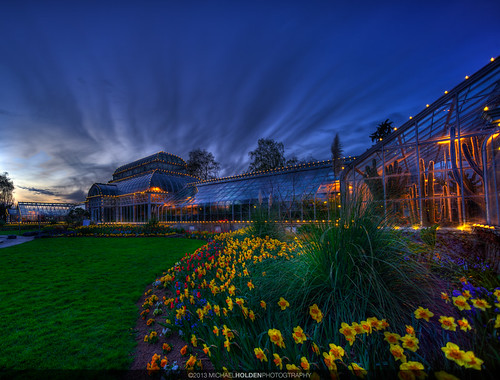seattle flowers sunset cactus clouds spring dusk conservatory greenhouse prettylights volunteerpark capitolhill