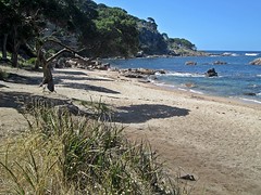 Cape Naturaliste- Shelley Cove
