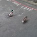 Ducks in the Parking Lot