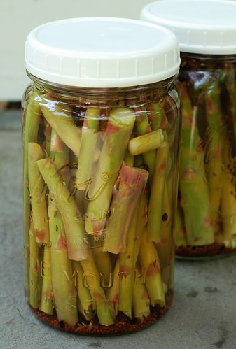 Pickled asparagus by Eve Fox, the Garden of Eating blog, copyright 2013