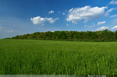 blue trees sky white green field grass clouds illinois sunny clear cumulus puffy circularpolarizer partlycloudy pekin tazewellcounty tamron1750mmf28 pentaxk5 everettdirksenpark