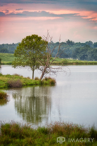 pond tree scene country 100400 sunset peaceful nature water reflection sky compression lake calm rural dead kentucky usa