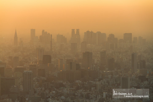 sunset japan tokyo shinjuku cityscape dusk 日本 東京 富士山 新宿 日没 文京区 skytree スカイツリー