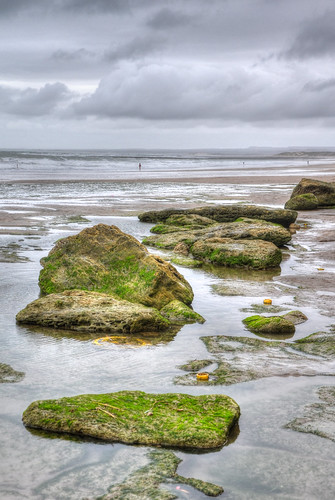 musgo beach stone moss rocks playa piedras