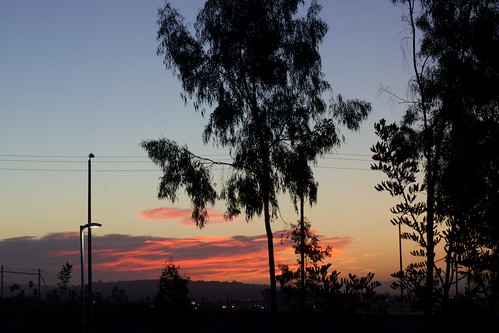 california morning pink blue trees light sky orange usa sun silhouette yellow clouds america sunrise dawn purple trail hour oxnard