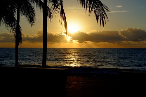light sea brazil sky sun sol praia beach nature brasil sunrise mar nikon coconut maceio d5100