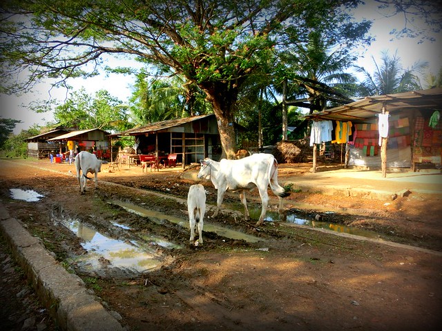 Village at the end of the bamboo train line, Battambang (Cambodia)