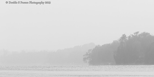 morning white mist lake ontario canada black nature fog sunrise landscape scenery natural scene portperry scugog