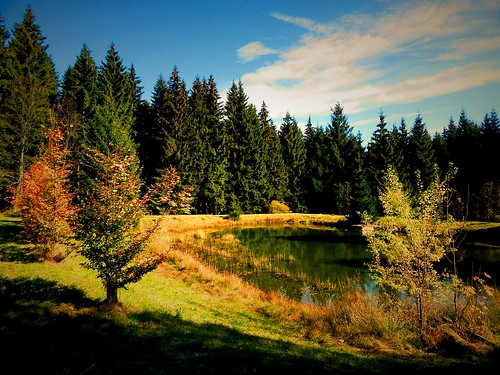 caledoniafan nature natur landscape landschaft wald forest water wasser pond teich oremountains erzgebirge sachsen saxony germany autumn herbst