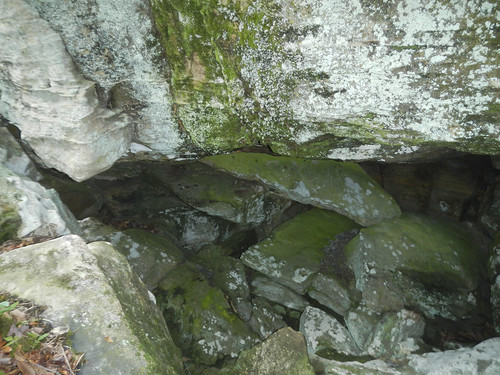 students science caves research arkansas caving biology speleology lyoncollege biospeleology
