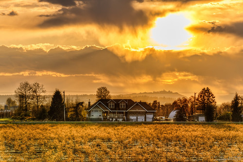 light sunset summer sky orange cloud sun sunlight house plant canada nature beautiful field yellow rural sunrise season landscape gold dawn golden evening countryside colorful warm natural bright cloudy outdoor dusk britishcolumbia farm vibrant background country farming grow dry sunny nobody scene farmland growth crop agriculture majestic mapleridge hdr agricultural jerrysulinapark