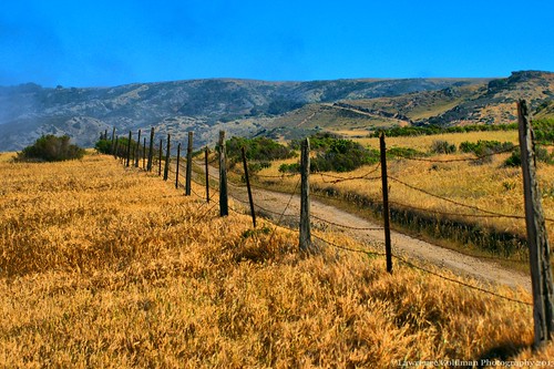 california fence island nationalparks channelislandsnationalpark landscapephotography santarosaisland santabarbarachannelislands
