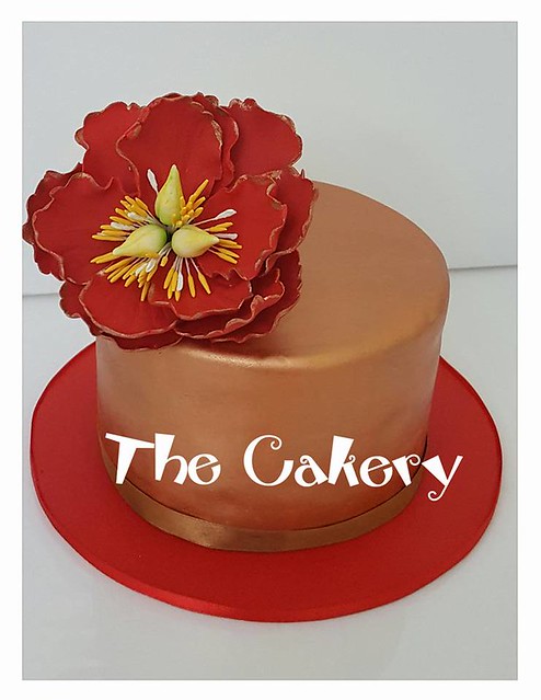 Elegant Cake by Shazia Kashif of The Cakery
